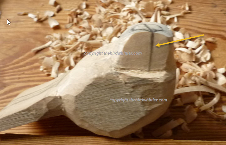 Line showing direction of the beak.