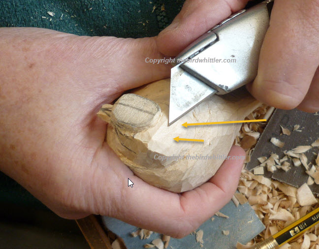Whittling at the back of the Blue Tit head.