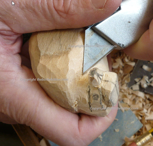 Tidying up under the beak.