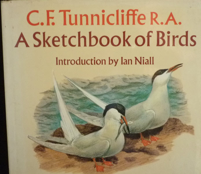 This is a great example of lifelike sketchbook and anyone interested in birds should have it on their bookshelf