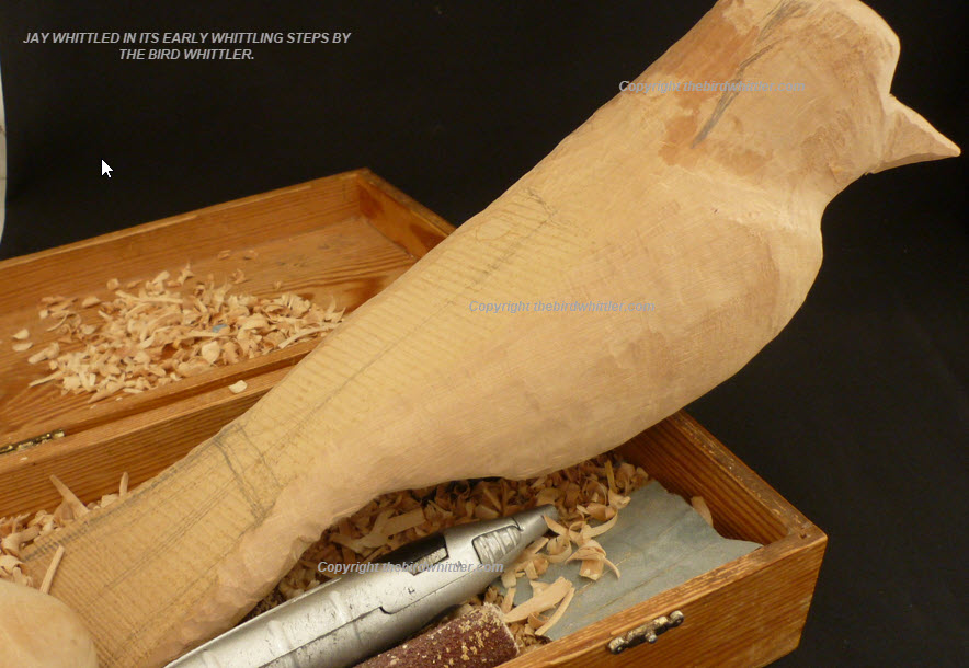 The Whittled Jay Ready For More Whittling Work