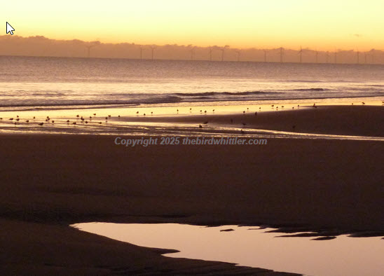 Waiting for the sun to come up on Sandilands beach.