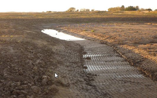 JCB diggers have been in and now hoping there be some water to fill it.