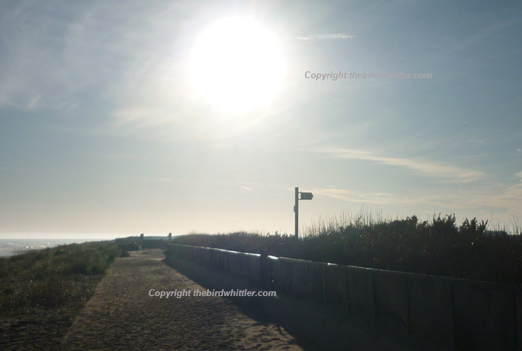 On your Sandilands beach walk look out for path signs.