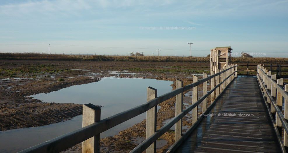 This is a resting point and viewing the surrounding area for birdlife.