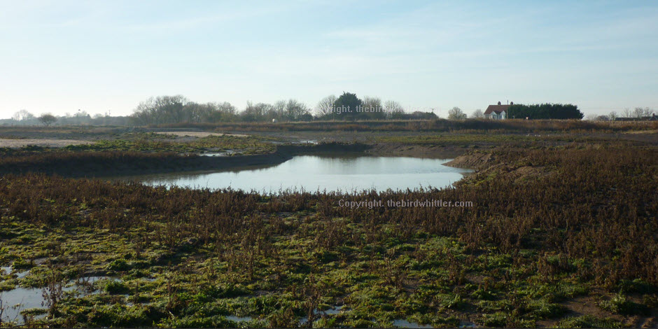 More water in front of the hide.