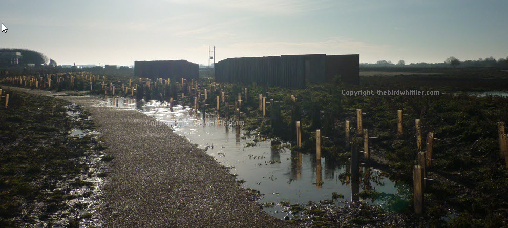 Looking back to the coffee shop and hide and the path making its own water feature.