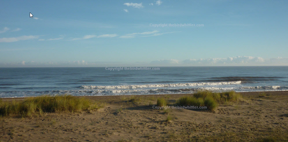 Nice view looking out on Sandilands sea view.