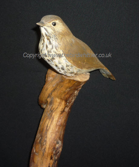 Bird Whittled Thrush.